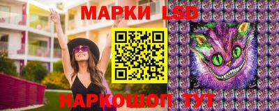 сатива Тверь