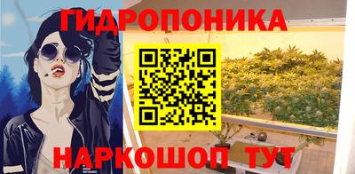 сатива Тверь