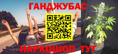 сатива Тверь